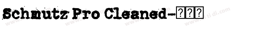 Schmutz Pro Cleaned字体转换